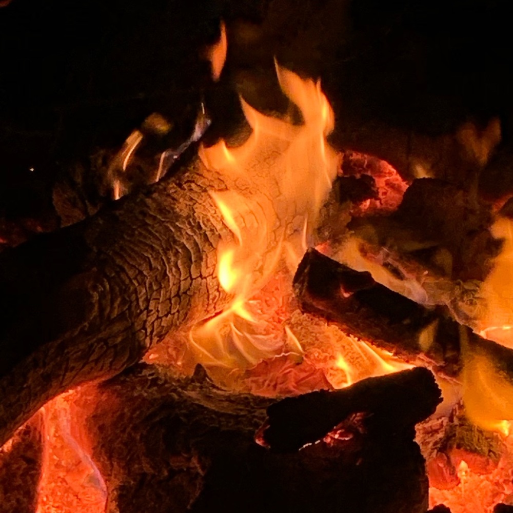 Meet your Posher, Kyla